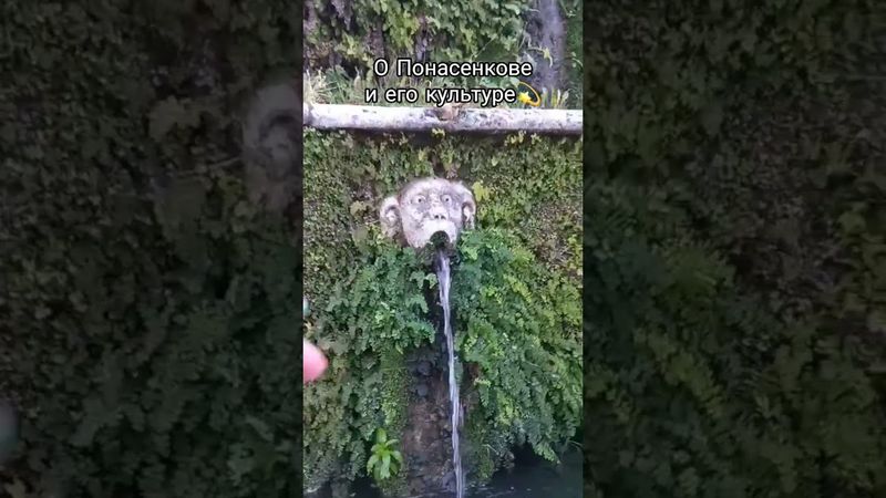 КРАСОТА В ГЛАЗАХ СМОТРЯЩЕГО😍#обзор #рекомендации #путешествия #красота #мир #жизнь #шортс