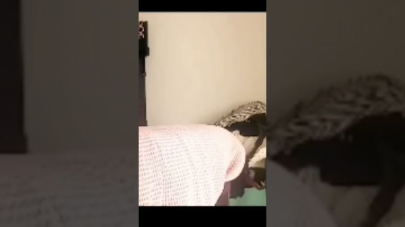 desafio da gimnàstica