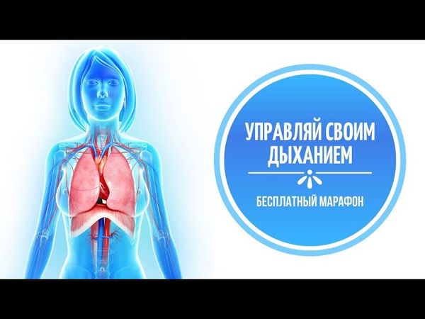 Бесплатный Марафон