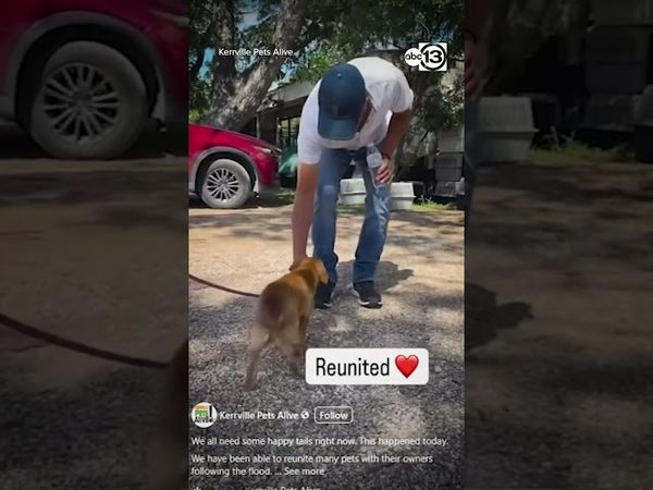 Emotional reunion between families and their pets after deadly flooding