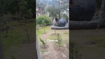 правда жизни#цитатыосмысле #цитатыпрожизнь #мудрость