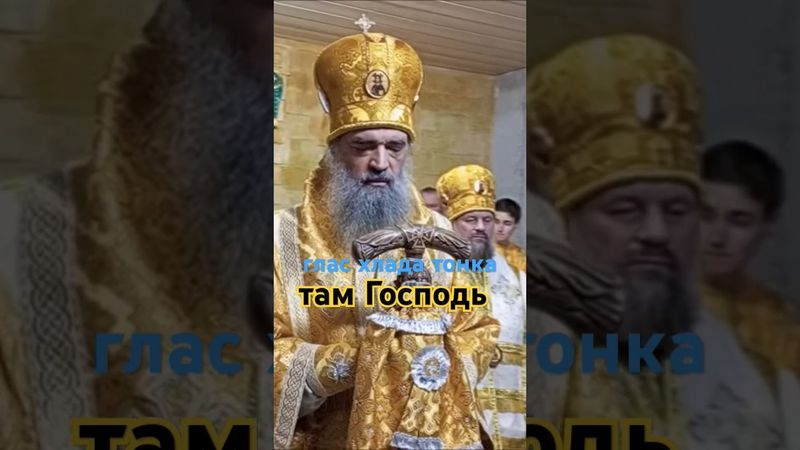 Услышь голос Бога #аскетика #Церковь_Христа #Истинная_Церковь #РосПЦ #Митрополит_Стефан #Господь