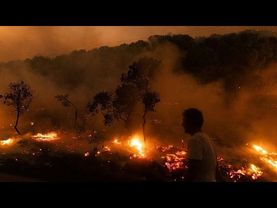 European Court of Auditors flags inefficiencies in EU wildfire spending