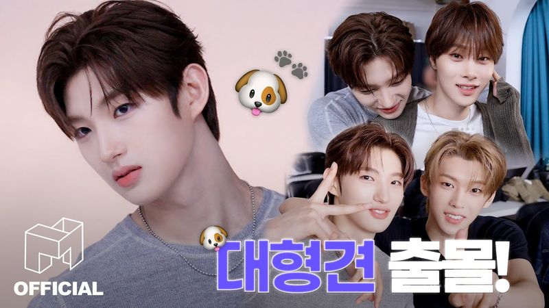 idntt 아이덴티티 | ‘face id’ 촬영장에 나타난 대형견은 누구?!🐶🕵️