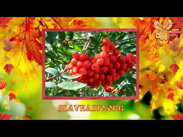 Братья Месяцы. 9 сентября -  Два Пимена, Пимен Рябинник