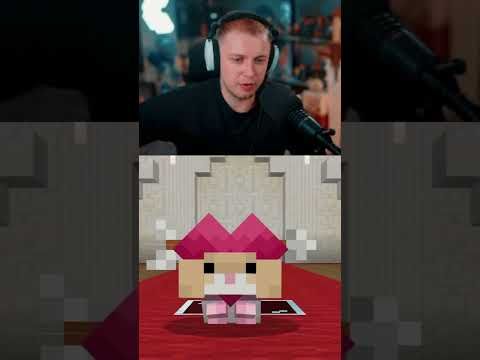 хомячки #стинт #stint #stintik #прикол #реакция