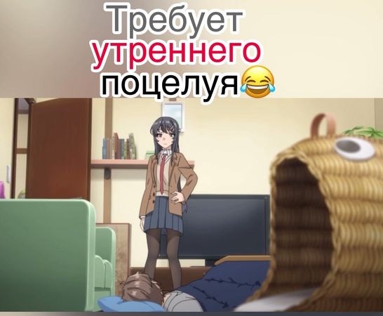 #bunnygirlsenpai #этотглупыйсвиннепонимаетмечтызайки #рек #fypシ Подпи...