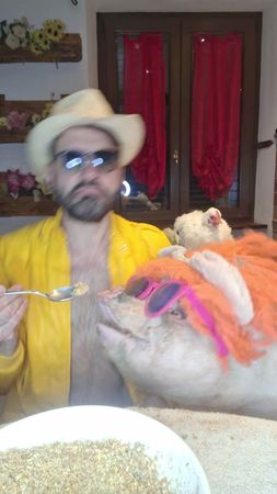 #risate #videodivertenti #commedy #dance #borntobealive #comic #animali 