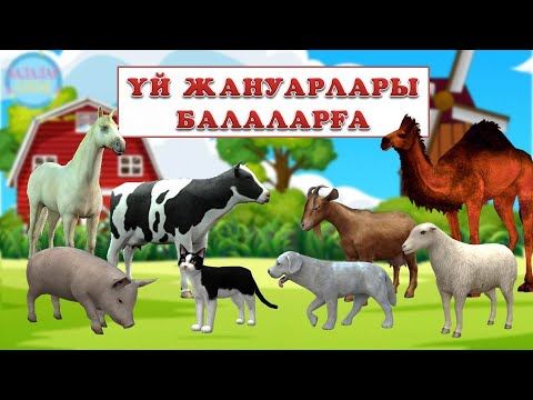 Үй жануарлары балаларға. Үй жануарларының дауыстары.