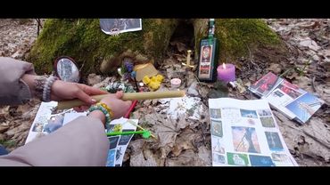 Чистка и защита домашних животных, семейного гнезда , рода.