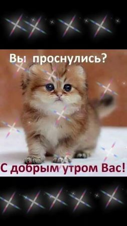 TikTok video #7065699943482248450