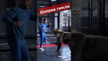 шахрам гиясов