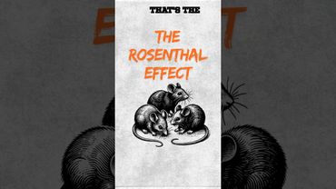 Why Believing in Someone Makes Them Better | Rosenthal Effect #shorts