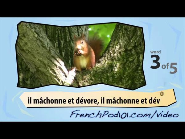 Learn French with Videos - Common Animals