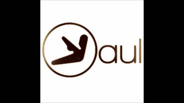 Aphex Twin - Windowlicker (Yaul Version)