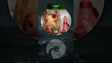 Маленький идет на свидание: #кружки #мем #мистербизнес