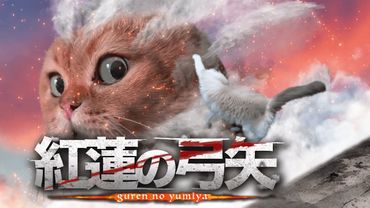 猫が歌ってみた「紅蓮の弓矢」Cat singing "Guren no Yumiya"