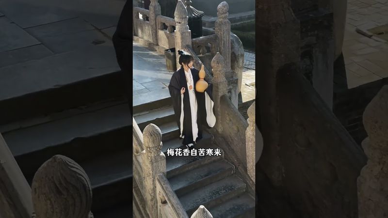 《道家智慧》苦难就是苦难 ！他不会带来成功！苦的总是苦的！不会变甜的！#道教 #道教文化 #清修 #道家思想 #道家智慧 #道家哲學 #正能量 #人生感悟 #智慧人生 #格局 #人间清醒 #人间真实