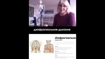 Диафрагма и дыхание