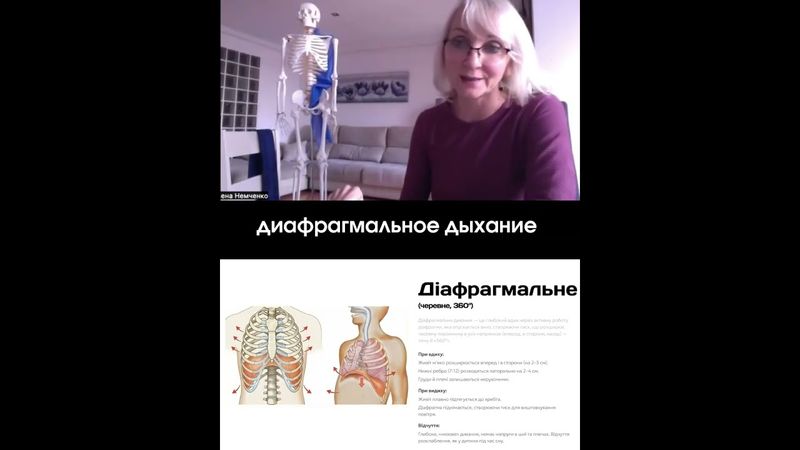 Диафрагма и дыхание