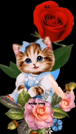 TikTok video #7064341490012556545