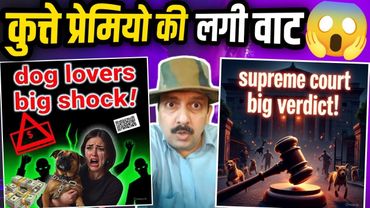 Supreme Court Verdict on Stray Dogs | Vaccination, Feeding Ban, NGO Fine, QR Tag, Public Safety