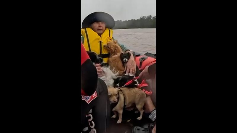 Caravan swallowed by floods as FRNSW rescues family