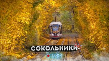Сокольники – СТРИМ