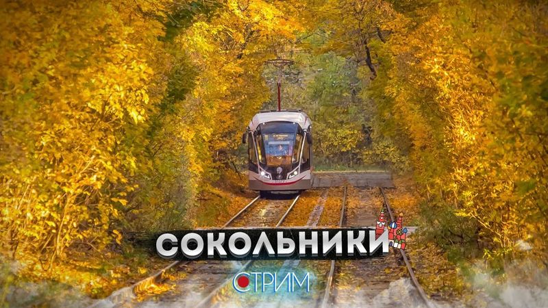 Сокольники – СТРИМ
