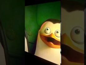 Пингвины Мадагаскара