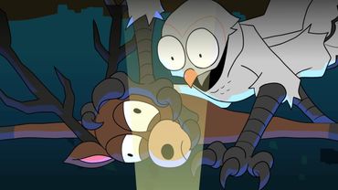 البومة تتنمر على العزيز 🤣