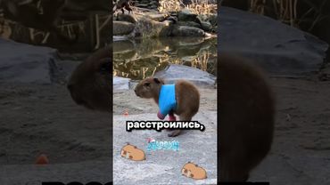 Худшая новость на сегодня