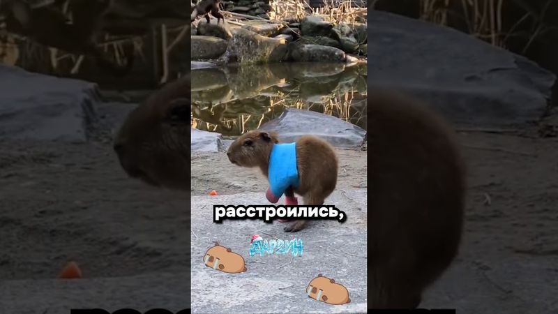 Худшая новость на сегодня