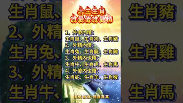 十二生肖誰最傻誰最精！你是屬於哪一種呢？#運勢 #正能量 #家居風水宜忌 #生肖 #人生感悟 #十二生肖 #情感 #玄學 #國學文化 #道家文化 #傳承文化 #傳統文化 #民間傳說