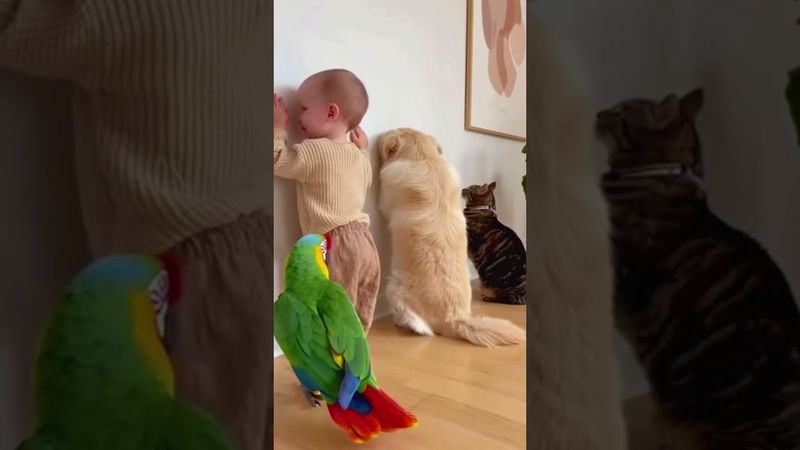 #pov#youtobe#fyp#foryou#foryoupage#funny