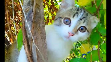 #Славянск. 16 октября 2025г. Вечер.