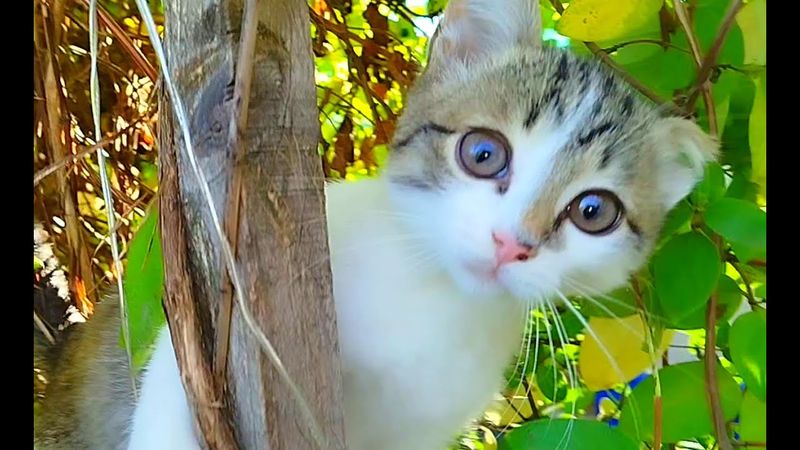 #Славянск. 16 октября 2025г. Вечер.