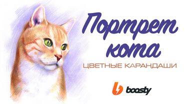 Портрет кота цветными карандашами / Boosty