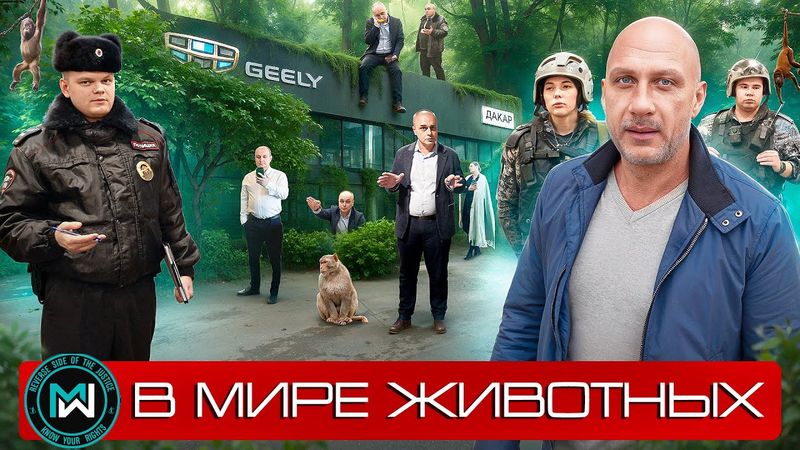 В мире животных - официальный дилер Geely - Дакар, продолжение