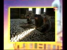 ТВК Новое Утро с Ковалесвским.avi