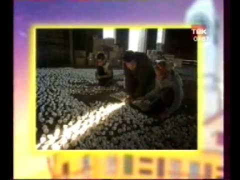 ТВК Новое Утро с Ковалесвским.avi