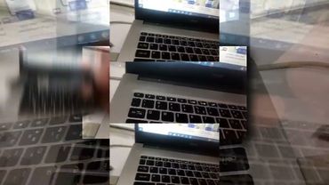 запрос от @ytpmvscans3136: PLPMV VID_20250519_203404 Scan Act II