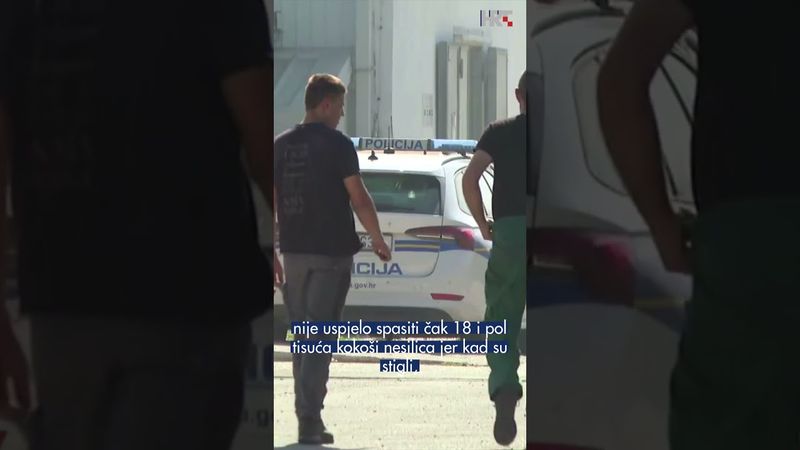 Požar u peradarniku kod Biograda: Izgorjelo 18.500 koka