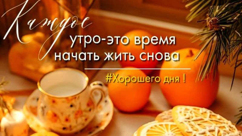 Просыпайся! С добрым утром! Пей кофе!