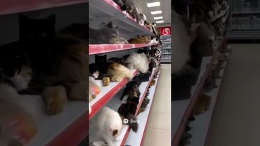 Вот бы такую Пятерочку