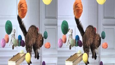 3D Video Demo Samsung