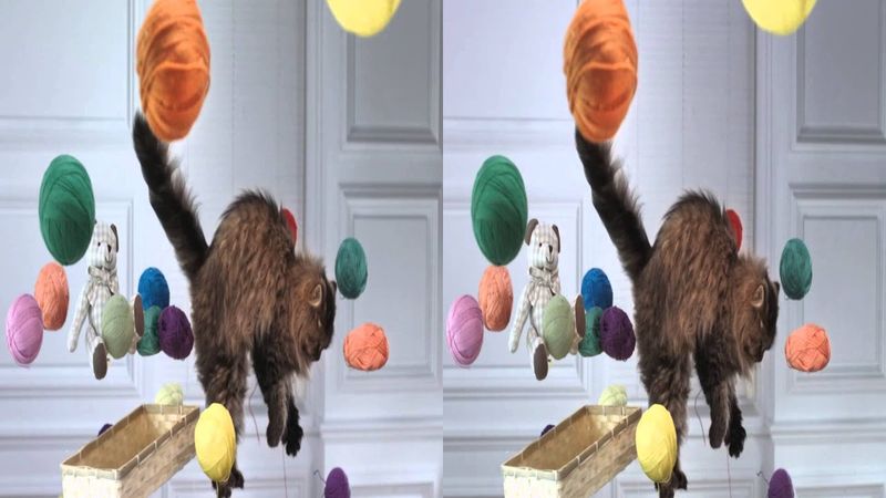 3D Video Demo Samsung