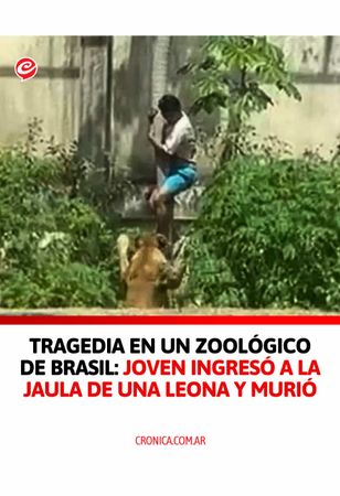 🟣 INVESTIGAN SI FUE UN SUICIDIO POR SU DELICADO ESTADO MENTAL 🦁 Un jo...