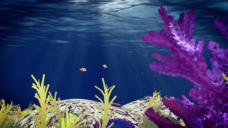 Coral bleaching | AFP