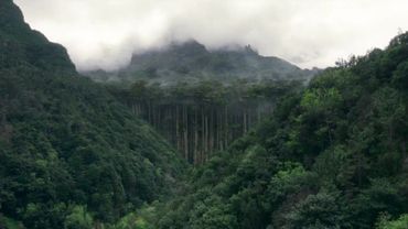 #movie #movieclips🎬 #movies #moviescene #moviescenes #moviesclips #fi...